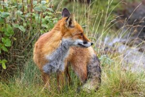 20代の営業職をやめるにはどのような方法があるのか？