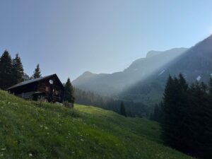 ルート営業でうつを克服するための方法は？