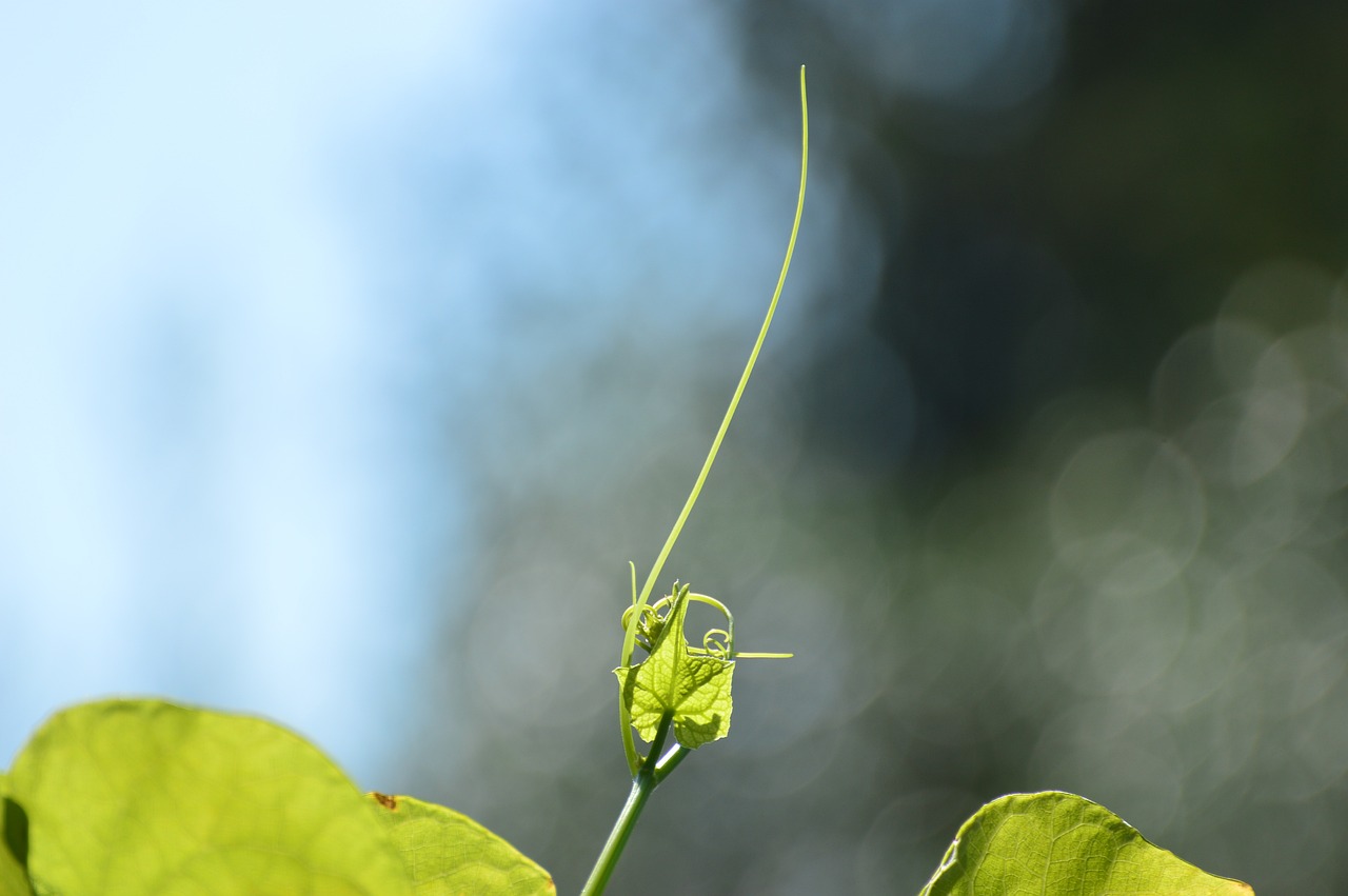 新規営業が合わないと感じた時、どうすれば成功に導ける？