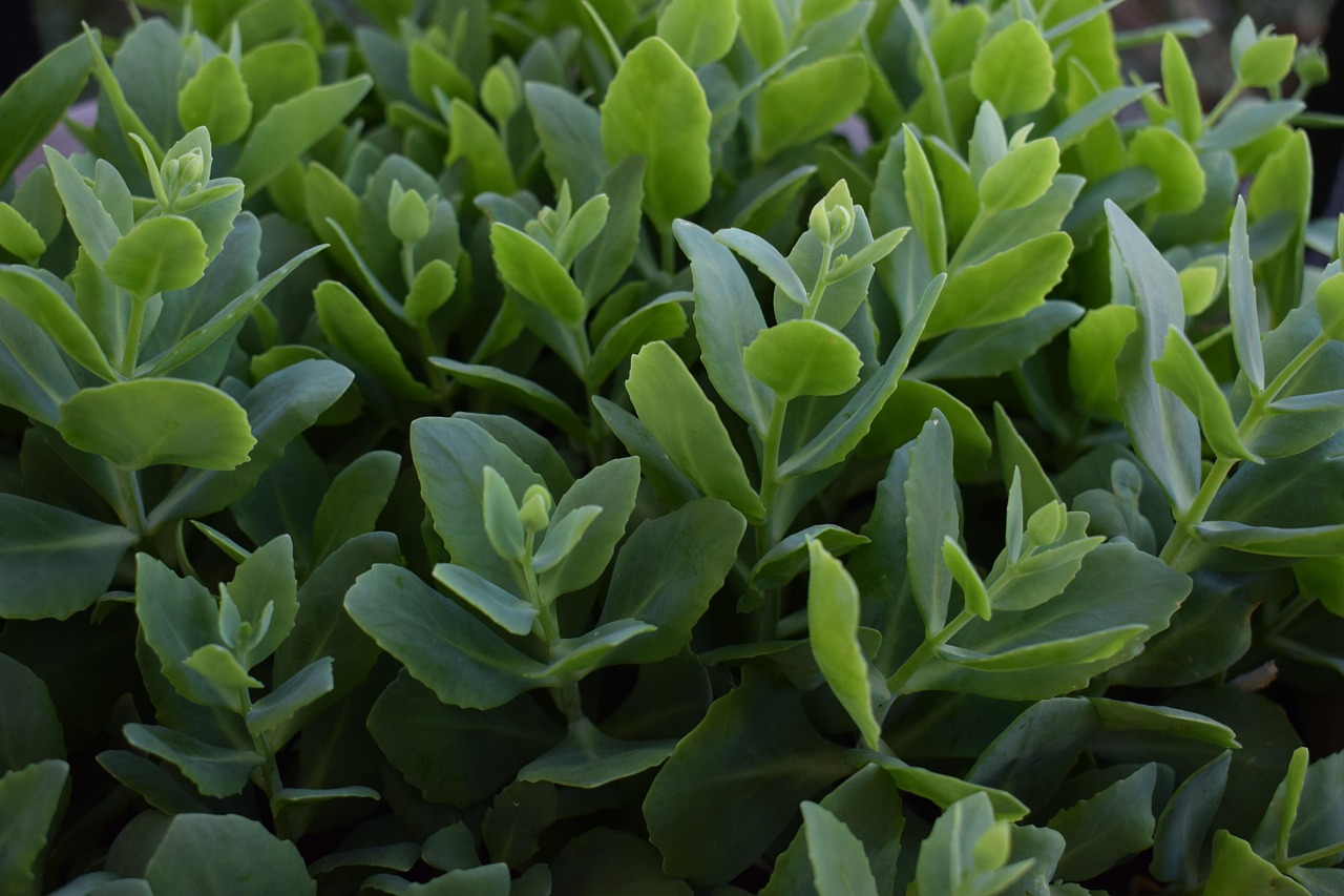 新規営業でうつに悩んだ時、どうするべきか？