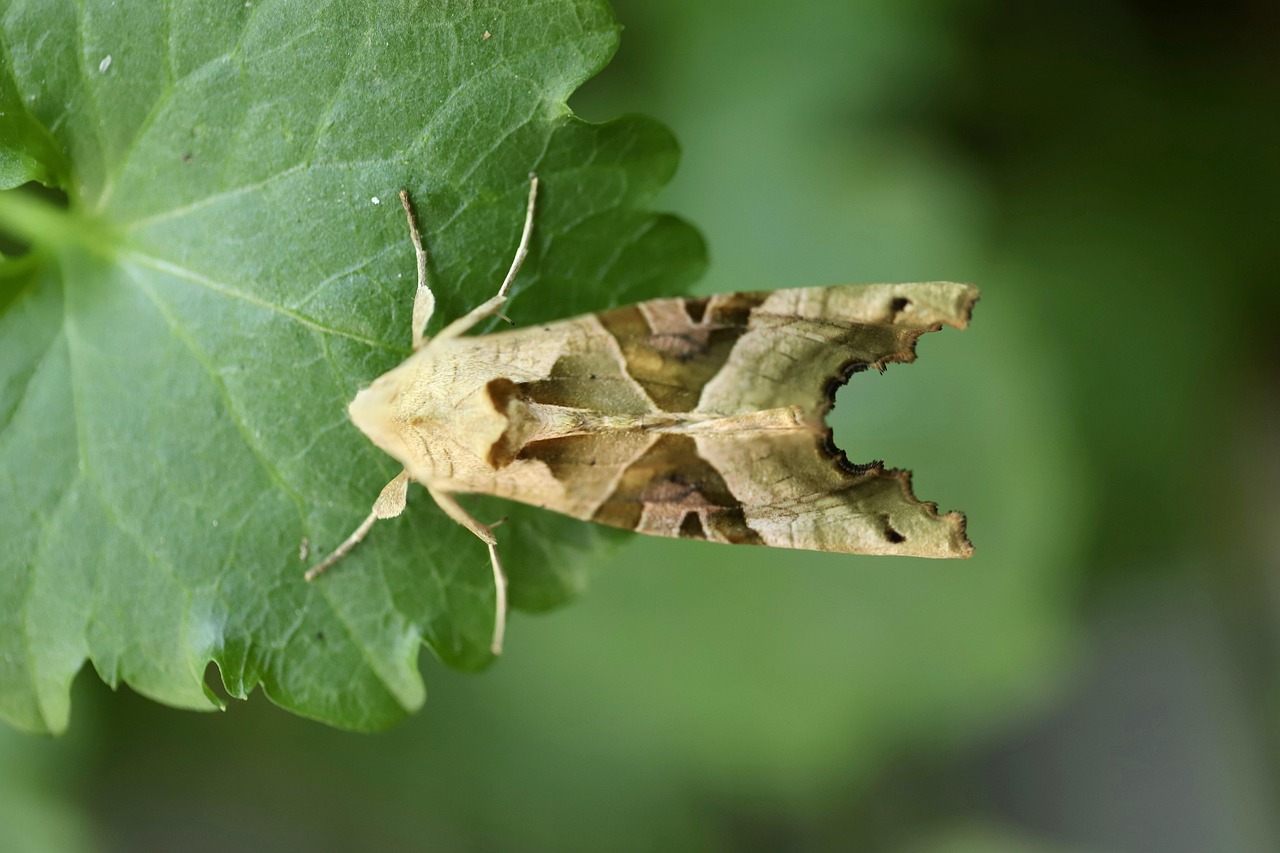 営業マンの限界を感じた時のキャリアチェンジの方法は？