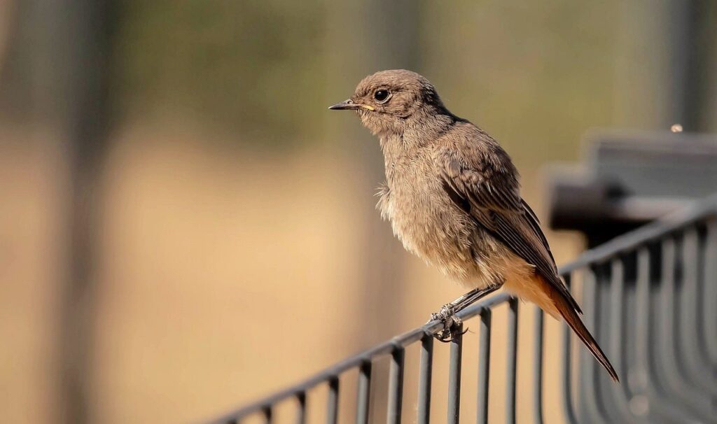 営業で限界近い気持ちを整えるための行動とは？