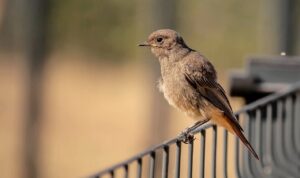 営業で限界近い気持ちを整えるための行動とは？