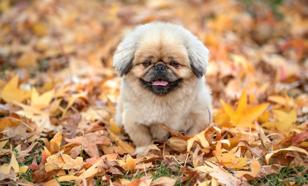 営業で不安が積み重なる日をリセットする方法は？