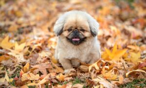 営業で辛いテレアポを乗り越える方法は？