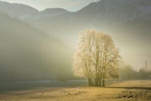営業の朝が怖いと感じる理由とは？